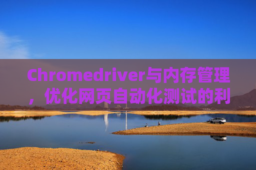 Chromedriver与内存管理，优化网页自动化测试的利器